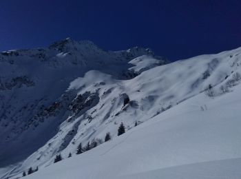 Percorso Sci alpinismo La Léchère - la pointe de la combe bronsin - Photo