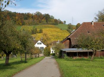 Trail On foot Winterthur - Winterthur Töss - Hardau - Photo