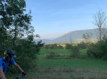 Trail Mountain bike Virignin - Par la passerelle vers Botozel - Photo