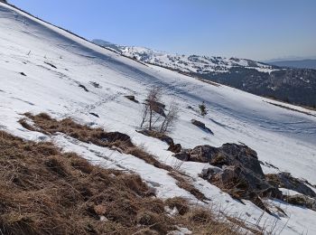 Randonnée Raquettes à neige Villard-de-Lans - randonnée du pas de l'œil - Villard de Lans - Photo