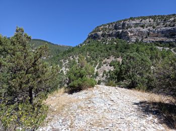 Tocht Stappen Garde-Colombe - Gorges du Riou - Photo