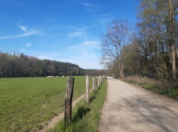 Trail Walking Oud-Heverlee - petit tour'tje autour de la caserne d Heverlee  - Photo