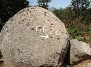 Trail Walking Zicavo - rando Corse (GR20)  - Photo