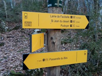 Trail Walking La Javie - lame de facibelle - Photo