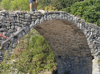 Excursión Senderismo Pompignan - Pompignan bergerie du monier 2 - Photo