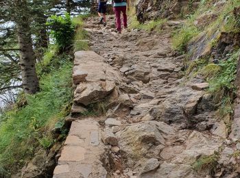 Trail Walking Loudenvielle - La Clarabide et refuge de la soula - Photo