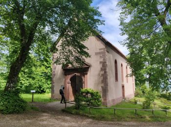 Trail Walking Ernolsheim-lès-Saverne - 2019-05-30 Marche Mt St Michel Ernolsheim les Saverne Reel - Photo