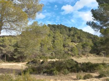 Trail Walking Meyrargues - Meyrargues Collet Redon - Photo