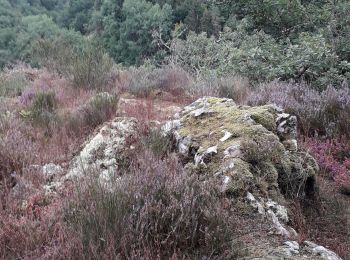 Trail Walking Monestier-Merlines - circuit des ermites.Monestier Merlines - Photo