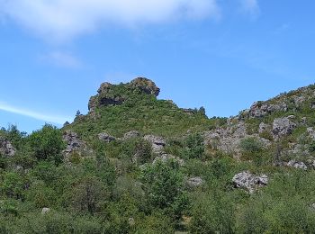 Randonnée A pied Les Rives - A la découverte du Lion  du Larzac - Photo