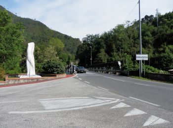 Randonnée A pied Seravezza - Sentiero Alta Versilia - Photo