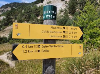 Trail Walking Ceillac - Boucle crête du Riou Vert et  Col de Bramousse - Photo