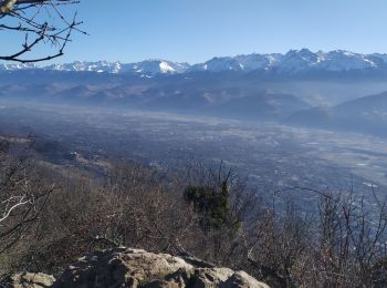 Tocht Trail Corenc - Tour du Mont Rachais - Photo