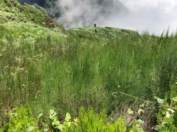 Tour Wandern Canhas - L’évada haute - Photo