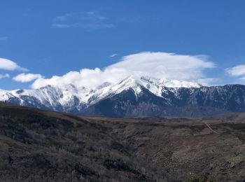 Tour Wandern Boule-d'Amont - 20210321 Boule d’Amont - Serrabone - Photo