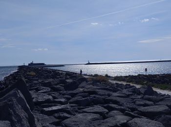 Tocht Stappen Agde - Cap d'Agde - Photo