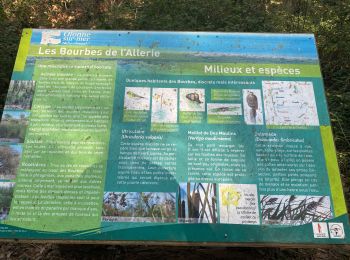 Tour Wandern Les Sables-d'Olonne - Sentier Les Bourbes - Photo