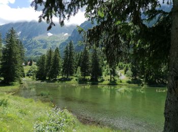Tocht Stappen Livet-et-Gavet - lac pour sillet 2023 - Photo