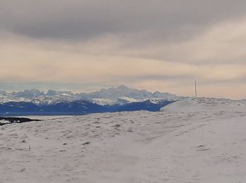Randonnée Raquettes à neige Longevilles-Mont-d'Or - Le Mont d'or  Super Longevilles - Photo
