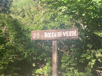 Trail Walking Vivario - Vizzavona col Vernet - Photo