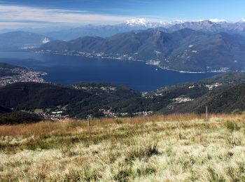 Trail On foot Astano - Dumenza - Curiglia - Photo