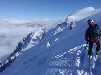 Excursión Esquí de fondo Serraval - Montagne de Sulens couloir Nord ouest - Photo