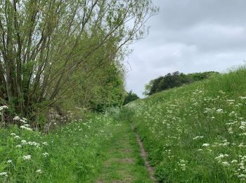 Tour Wandern Knokke-Heist - Knokke Het Zoute - Zwin (circ 13km) - Photo