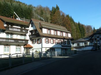 Trail On foot Bad Peterstal-Griesbach - Trogloch-Rohrenbacher Blick - Photo
