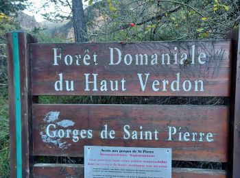 Percorso Marcia Beauvezer - VILLARS HEYSSIER . GORGES DE SAINT PIERRE O - Photo