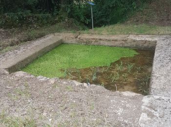 Randonnée Marche Thémines - themine - Photo