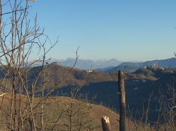 Trail On foot Sesta Godano - Arsina - Carrodano Superiore - Mattarana - Colle Gruzze - San Nicolao - Photo