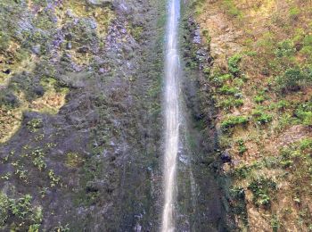 Tour Wandern São Roque do Faial - Le chaudron vert  - Photo