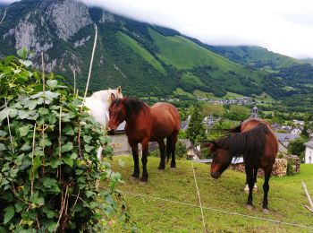 Tour Wandern Bedous - Bedous - Photo