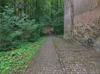 Tocht Te voet Rehburg-Loccum - Weg 4 - rot - Wanderung im Loccumer Klosterwald - Photo