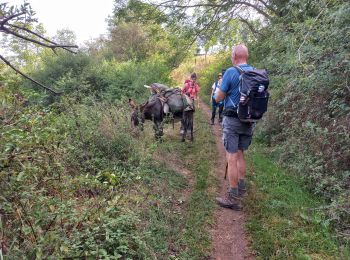 Tocht Stappen Le Monastier-sur-Gazeille - Le Monastier / Le Bouchet Saint Nicolas - Photo