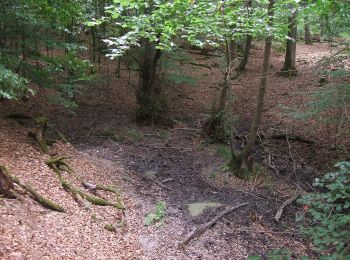 Tour Zu Fuß Butzbach - Wanderwege Hausberg - Milan - Photo