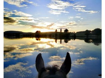 Trail Horseback riding Noth - De l'eau et des Chateaux - Photo