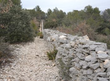 Tour Wandern Cabrières-d'Avignon - PF-Cabrières-d'Avignon - Le mur de la Peste - Photo