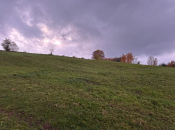 Randonnée Marche Trois-Ponts - Wanne 21,8 km - Photo