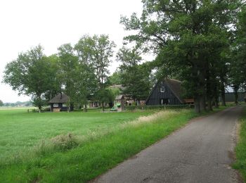 Randonnée A pied Wierden - WNW Twente -Ypelo - rode route - Photo