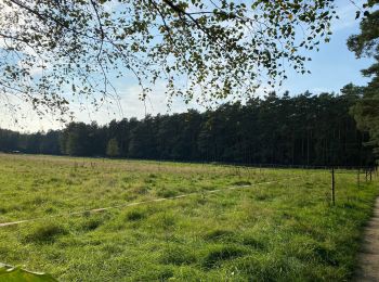 Randonnée Marche Oud-Heverlee - Vaalbeek - Forêt de Meerdal - Photo