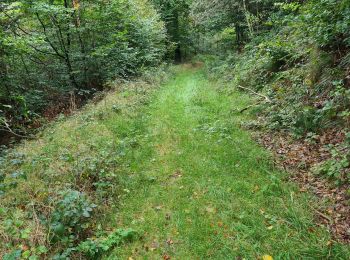 Trail Walking Bouillon - Les Hayons 2 - Photo