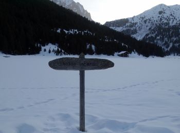 Trail Snowshoes Les Allues - Méribel-G3 - Photo