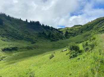 Trail Walking Megève - Mont vores col very - Photo