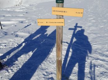 Trail Snowshoes Saint-Jean-Saint-Nicolas - Le palastre - Photo