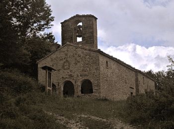 Tocht Te voet Montemonaco - Santa Maria in Pantano/Monte Vettore - Photo