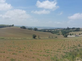 Tocht Stappen Carcassonne - CC_Piemont_BA_06_Carcassonne_Montreal_20240617 - Photo