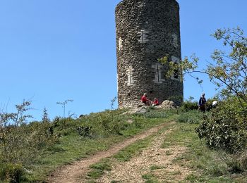 Trail Walking Vernet-les-Bains - Tour de GOA et pic de la PENA par Vernet les Bains - Photo