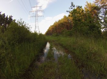 Tocht Te voet Möhrendorf - Wanderweg Dechsendorfer Weiher - Bhf Bubenreuth - Photo