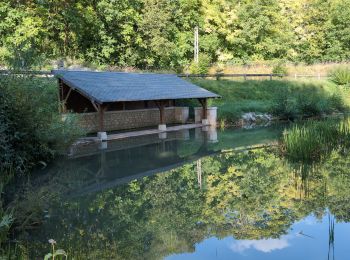 Randonnée Marche Champigny-sur-Veude - Lémeré Fontaine de Jable - variante PR de Champigny-sur-Veude - 13.1km 160m 3h00 - 2024 08 25 - Photo